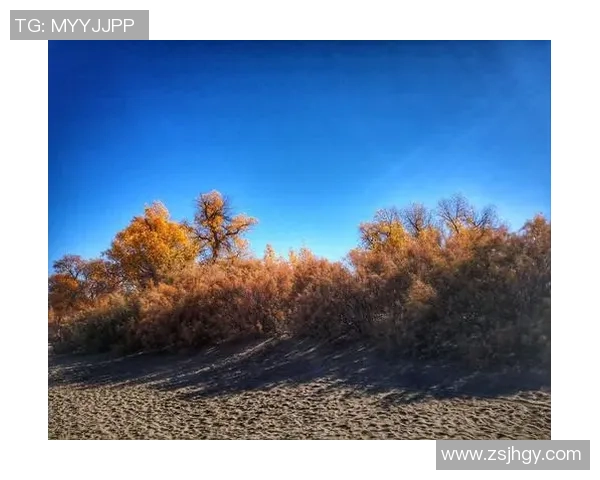 对话滑板女将周秀英探索她的职业生涯与梦想追逐